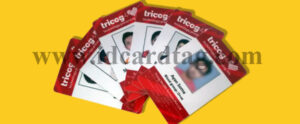 PVC ID Card Printing